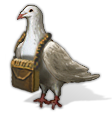 Carrier Pigeon